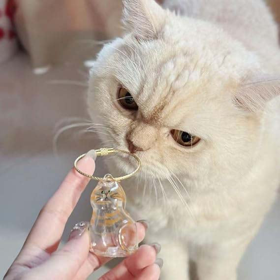 Cat Hair Storage Bottle,Keychain for Collecting Cat and Dog Hair, Cute Pet Memorial Gifts