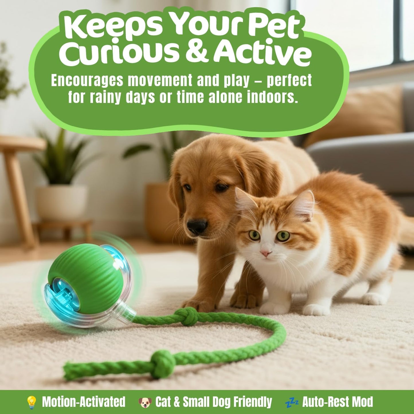 Interactive Cat Toy Ball, Active Smart Rolling Balls for Cat, Electric Toy Balls for Indoor Cats