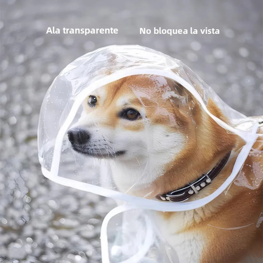 PVC waterproof transparent raincoat dress for pet puppies, with hood