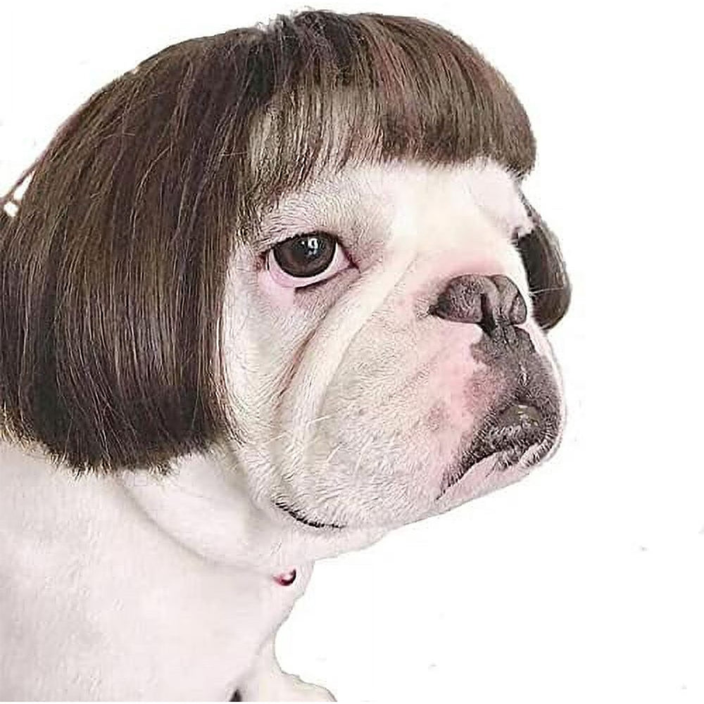 Pet-themed bangs wigs suitable for parties